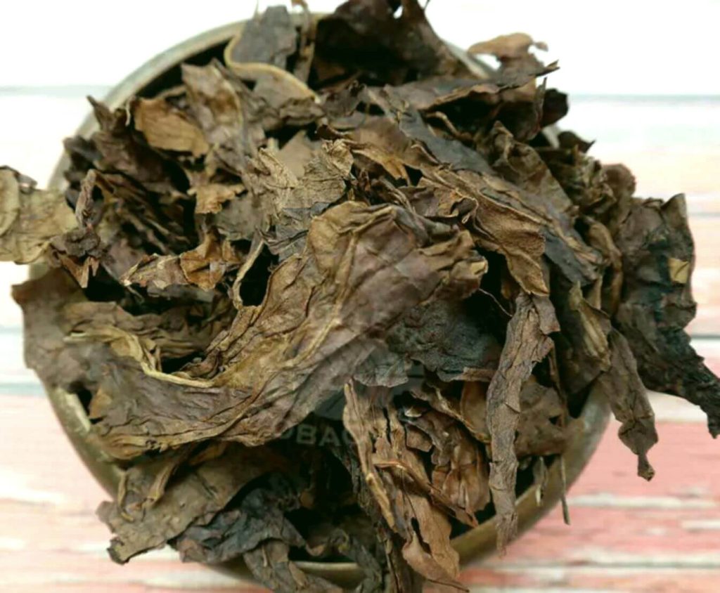 A close-up of Latakia tobacco leaves