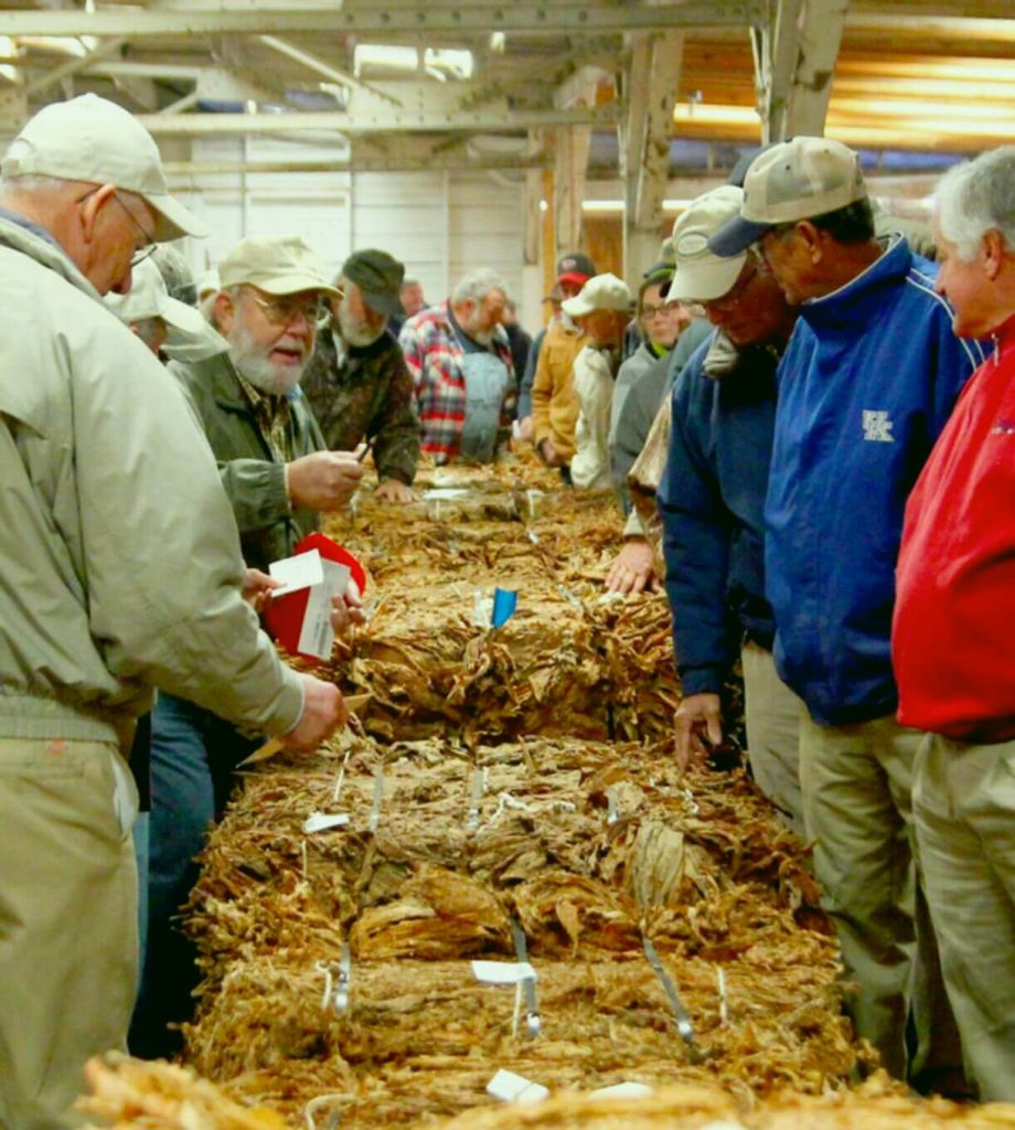 London Tobacco Market • London, Kentucky • The New London Tobacco Warehouse  serves burley tobacco growers throughout Kentucky, Tennessee and Virginia.  We sell tobacco supplies, tobacco plants, crop insurance and are here